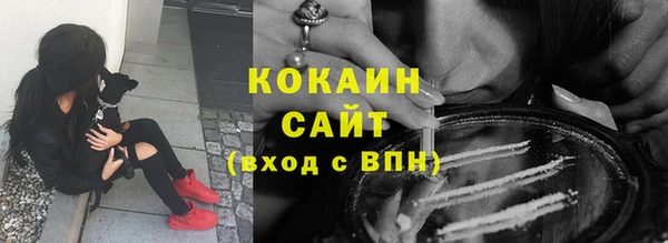 дживик Алзамай