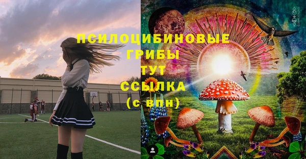 кристаллы Абаза
