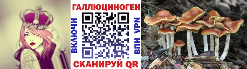 Псилоцибиновые грибы прущие грибы Лермонтов